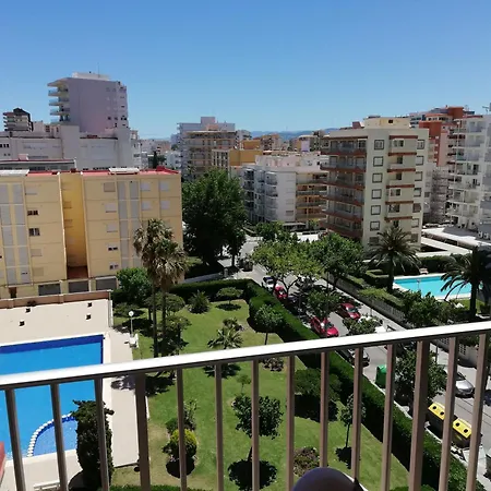 Danio Solo Familia Serviplaya Playa de Gandia