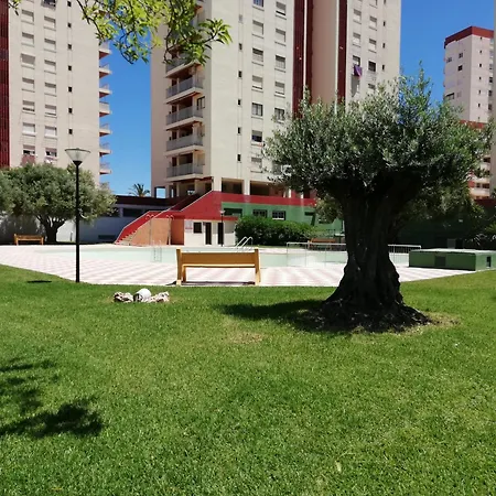 Apartment Danio Solo Familia Serviplaya