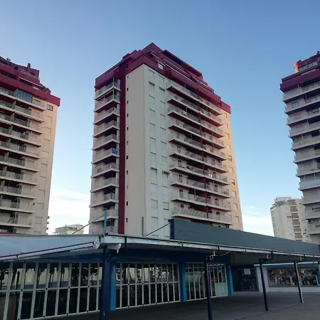 Danio Solo Familia Serviplaya *