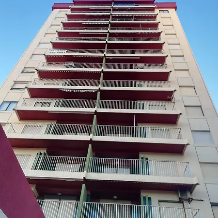 Danio Solo Familia Serviplaya