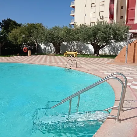 Danio Solo Familia Serviplaya *
